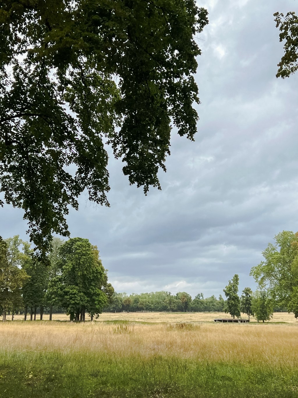 Cities: Normalised Prisons? (Lessons from Living in the Heart of&nbsp;Paris)